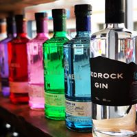 Selection of regular and flavoured gin